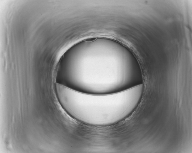 X0000100221520200805300736