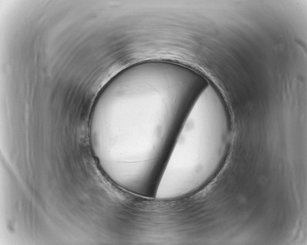 X0000100221521200805300736