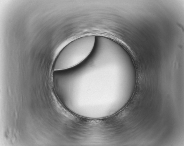 X0000100221522200805300736