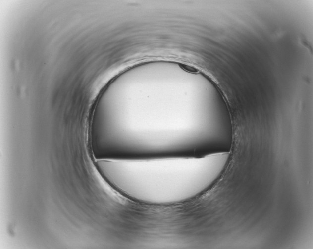 X0000100221523200805300736