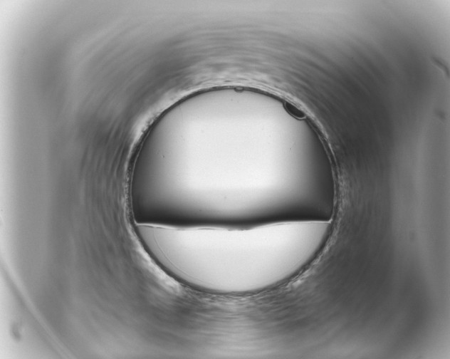X0000100221525200805300736