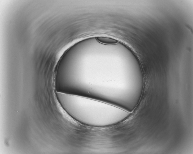 X0000100221526200805300736