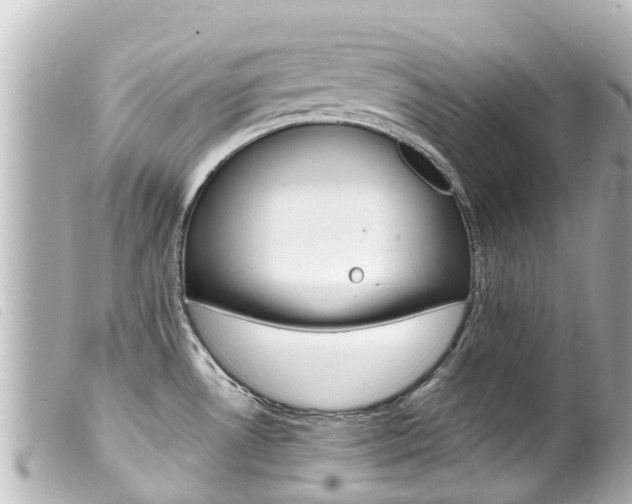 X0000100221530200805300736