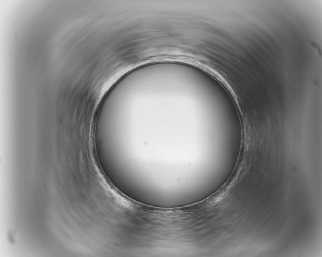 X0000100221533200805300736