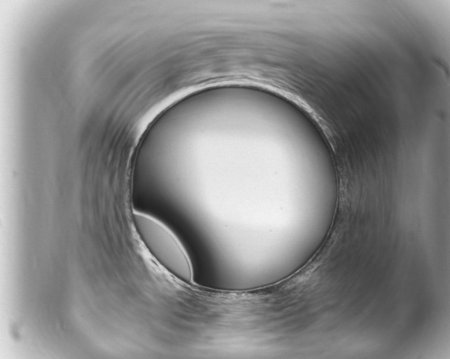 X0000100221534200805300736