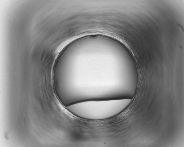 X0000100221535200805300736