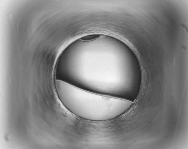X0000100221536200805300737