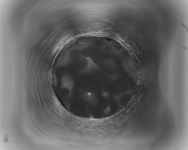 X0000100220002200805301356