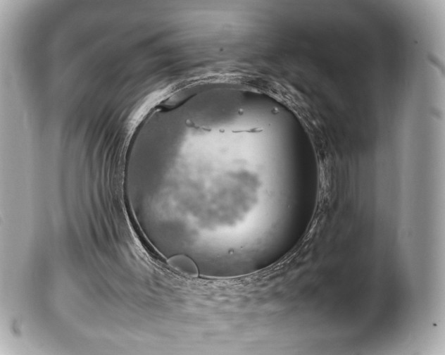 X0000100220003200805301356