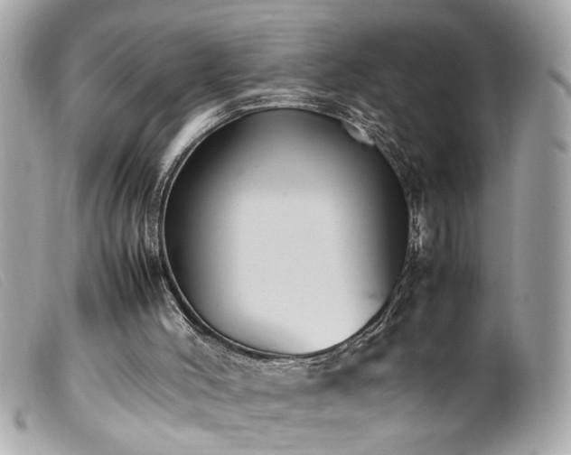 X0000100220004200805301356