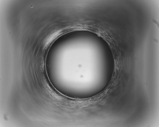 X0000100220005200805301356