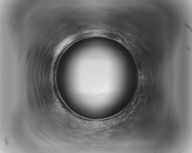 X0000100220006200805301356