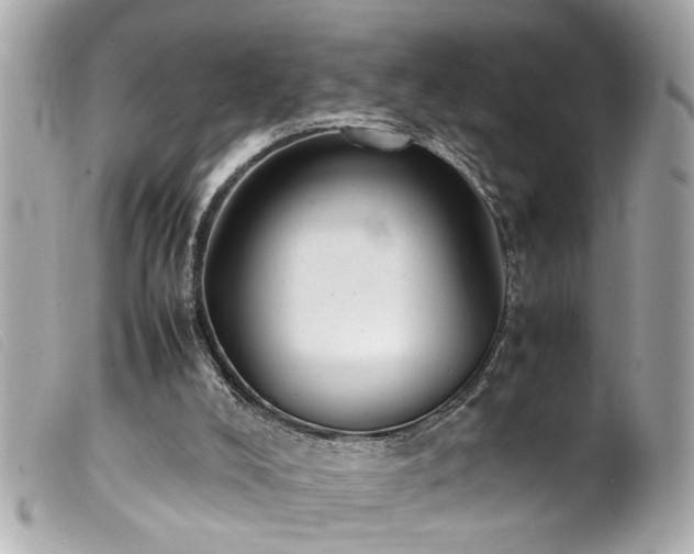 X0000100220008200805301356