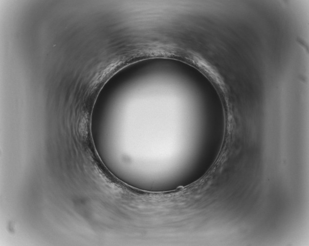 X0000100220009200805301356