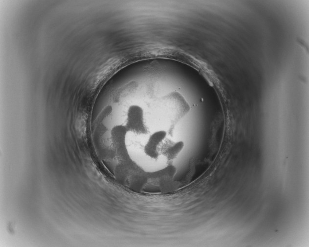 X0000100220010200805301356