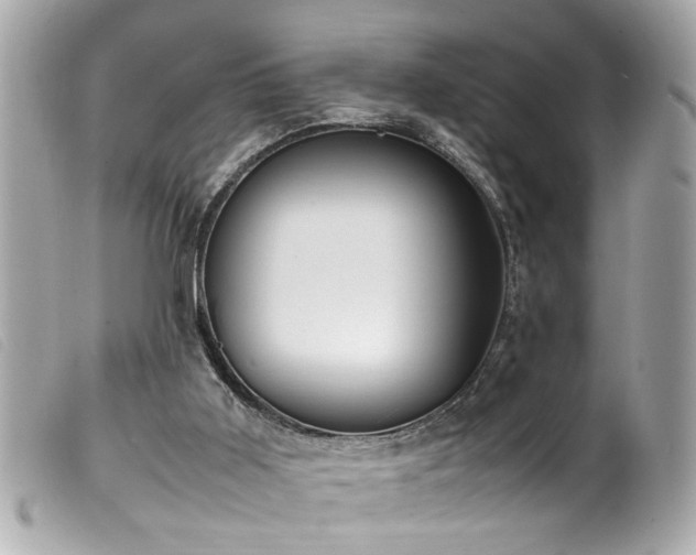 X0000100220011200805301356