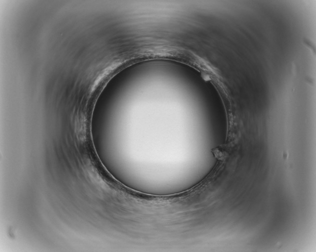 X0000100220012200805301356