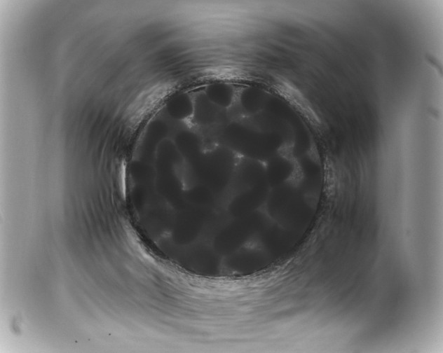 X0000100220014200805301356