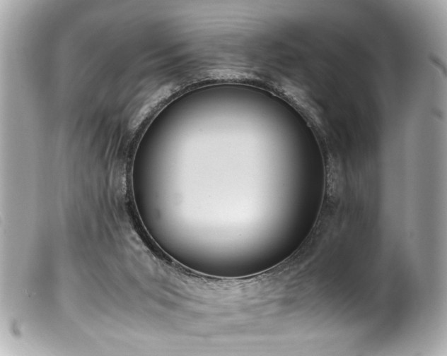 X0000100220015200805301356