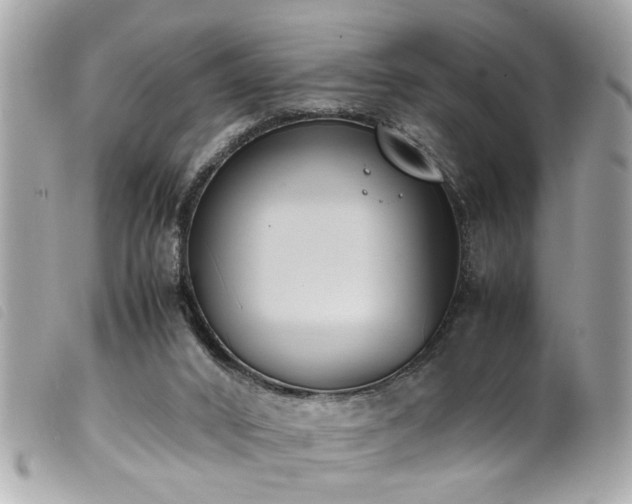 X0000100220016200805301356