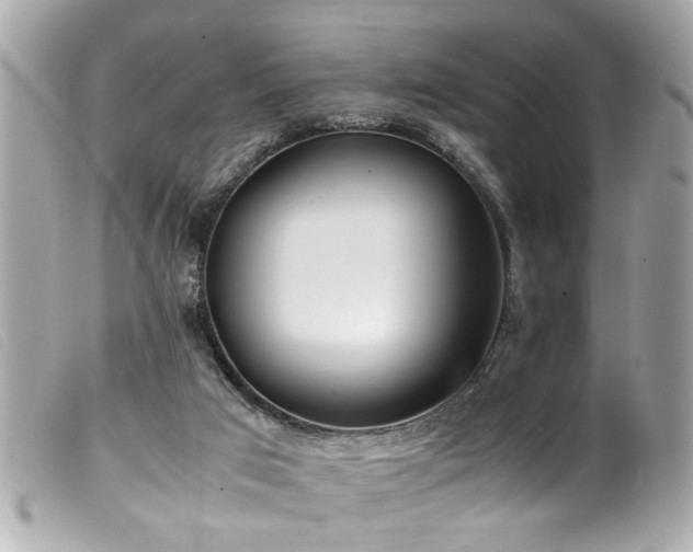 X0000100220017200805301356