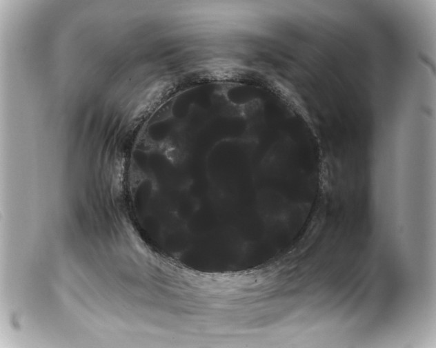 X0000100220018200805301356