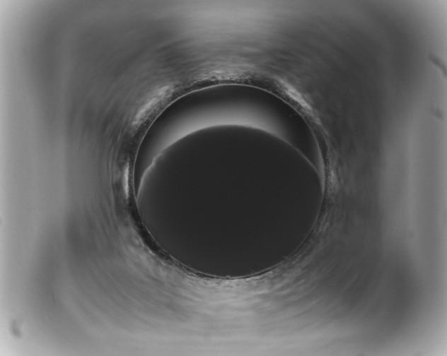 X0000100220019200805301356