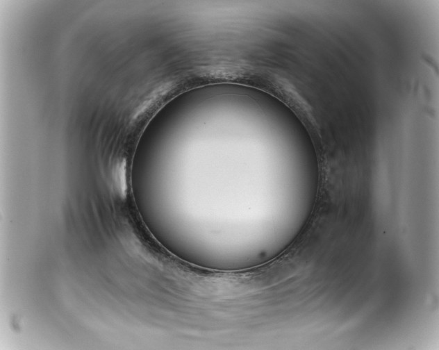 X0000100220020200805301356