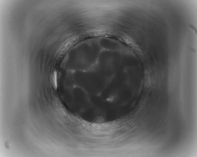 X0000100220022200805301356