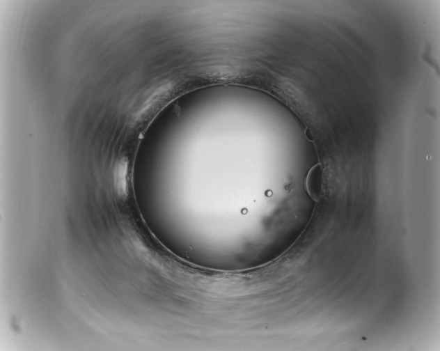 X0000100220024200805301356