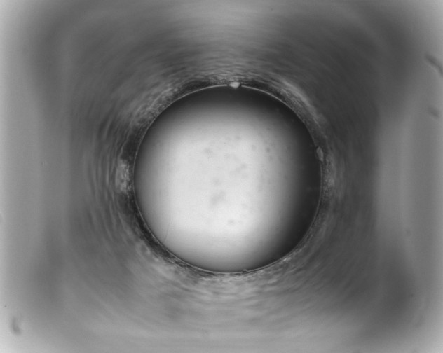 X0000100220025200805301356