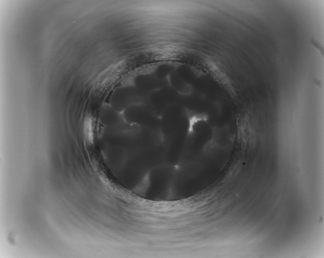 X0000100220026200805301356