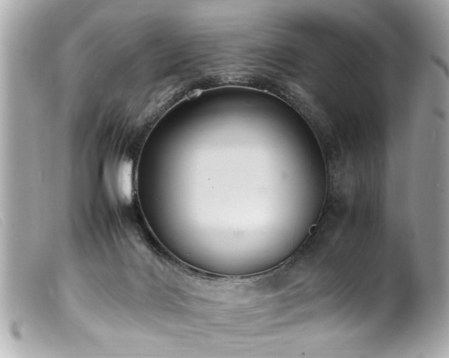 X0000100220028200805301356