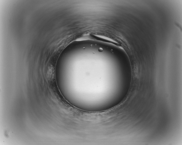 X0000100220029200805301356