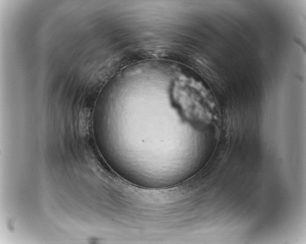 X0000100220030200805301356