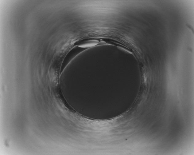 X0000100220031200805301356