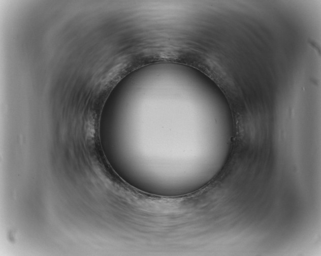 X0000100220032200805301356