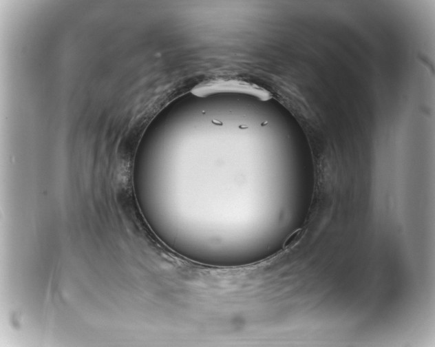 X0000100220033200805301356