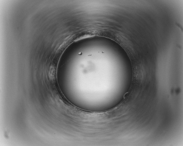 X0000100220036200805301356