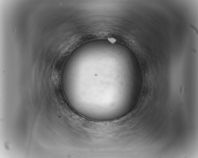 X0000100220037200805301356