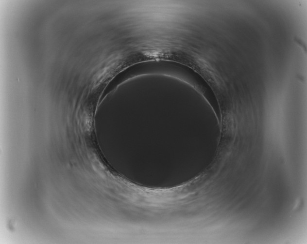 X0000100220039200805301356