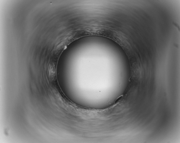 X0000100220040200805301356