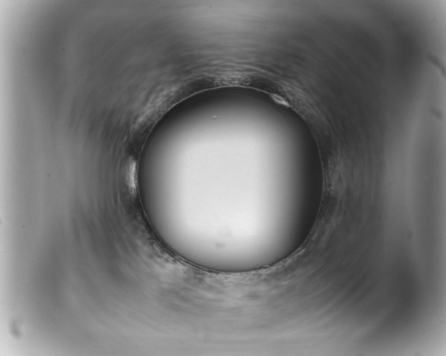 X0000100220041200805301356