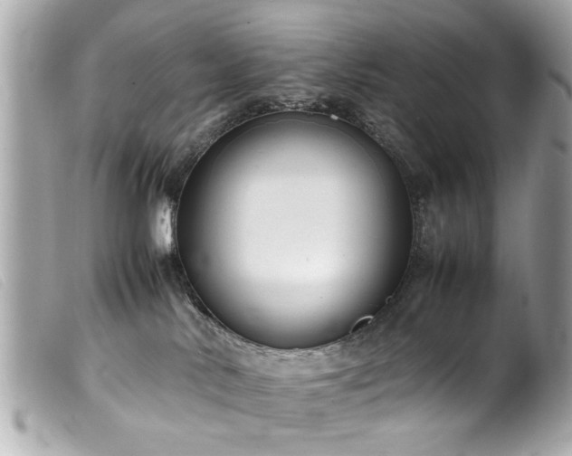 X0000100220042200805301356