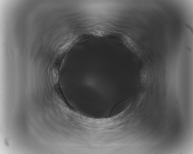 X0000100220043200805301356