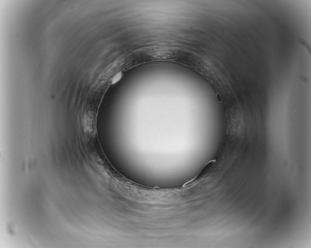 X0000100220044200805301356