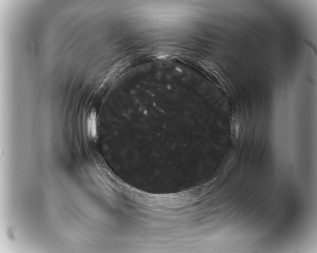 X0000100220046200805301356