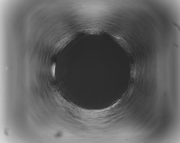 X0000100220047200805301356