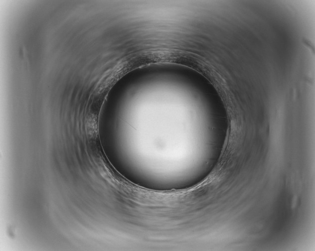 X0000100220048200805301356