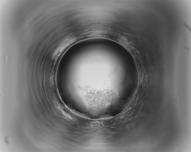 X0000100220050200805301355